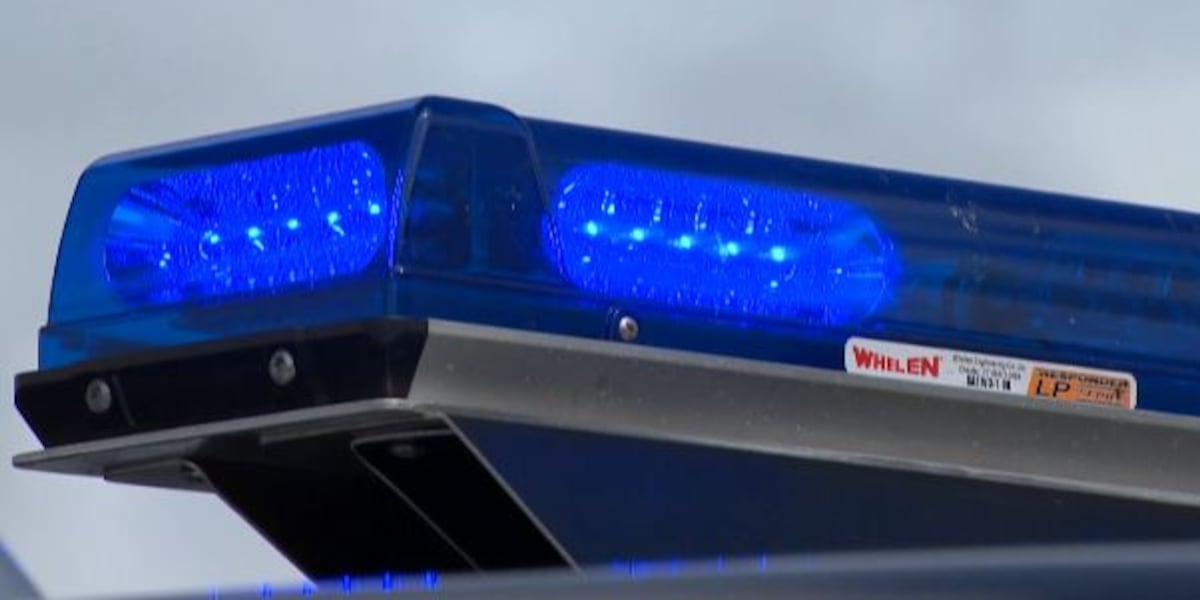 Man arrested for negligent homicide after deadly pedestrian crash in Hawaii Island Man arrested for negligent homicide after deadly pedestrian crash in Hawaii Island