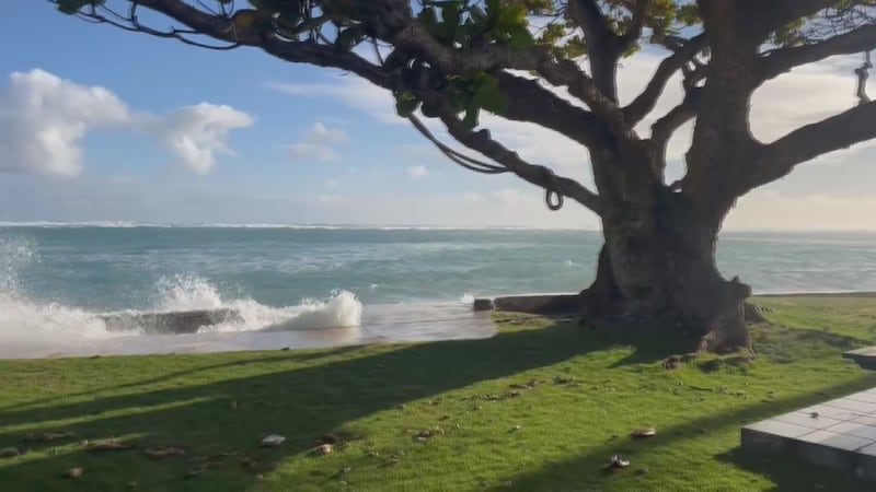 This week, winter swells sent high surf across the islands, prompting closures of Hawaii...