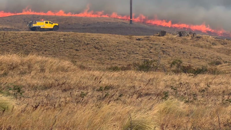 The blaze was reported at around 5 p.m., and the Hawaii Fire Department issued a wildfire...