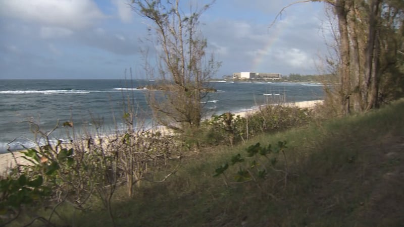 Earthjustice filed a lawsuit Tuesday against the City’s Department of Planning and Permitting...