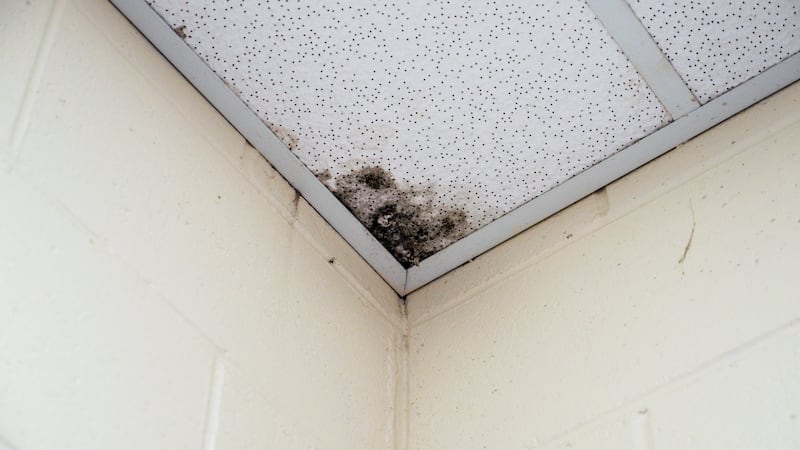 Parents say students are developing long-term coughs and other respiratory problems due to...