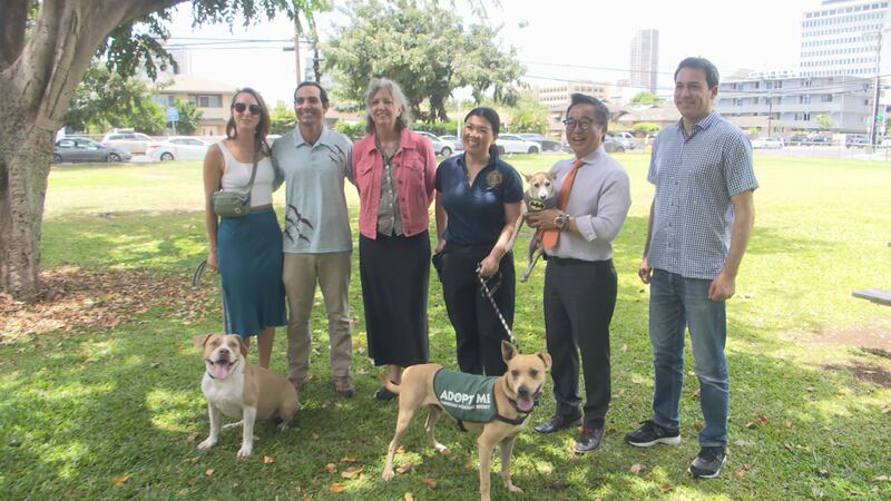 City aims to improve amount of dog parks around Oahu