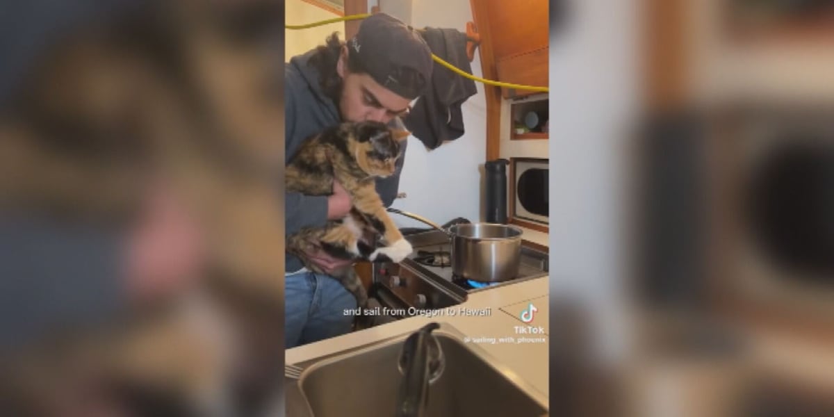 After 24 days, man sailing from Oregon arrives in Hawaii with pet cat