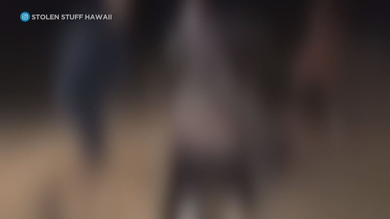 Police said a 23-year-old man and a 15-year-old boy were assaulted by multiple individuals and...