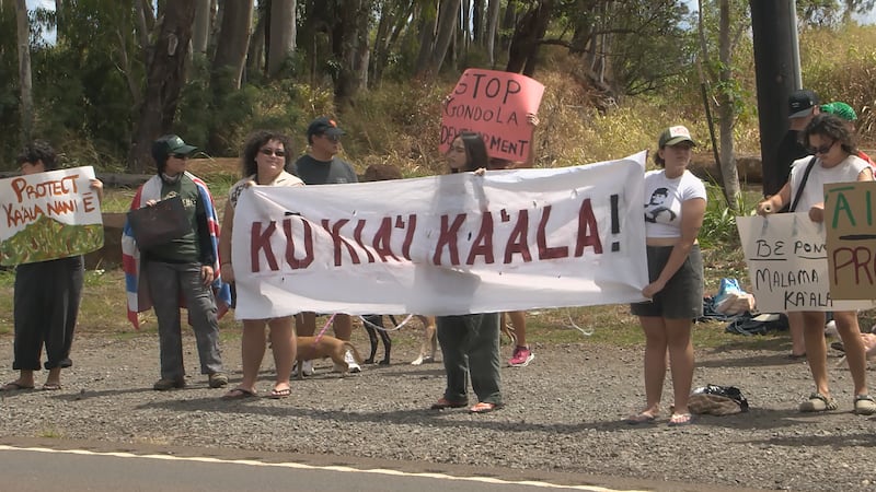 Mount Kaala gondola protest