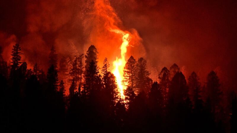 State officials are warning about a high risk for wildfires across North Carolina this week.