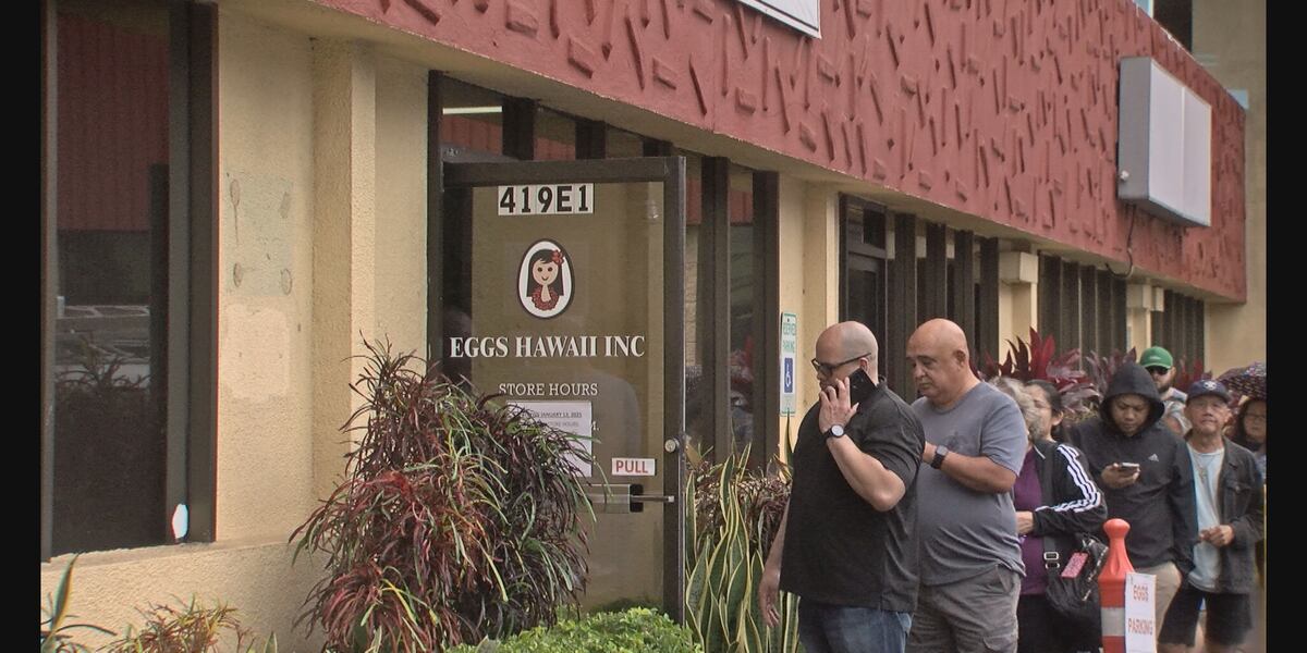 Demand, prices for local eggs skyrocket amid nationwide avian flu outbreak Demand, prices for local eggs skyrocket amid nationwide avian flu outbreak