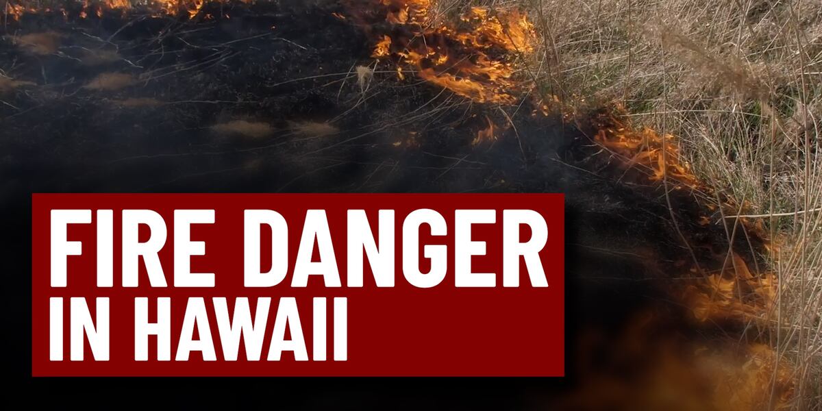 First Alert Weather Days declared for Hawaii Island, Maui County amid strong winds, elevated fire danger First Alert Weather Days declared for Hawaii Island, Maui County amid strong winds, elevated fire danger