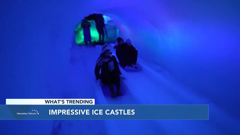 Brazil's civil defense team needed to be called in... along with one very big crane to rescue...