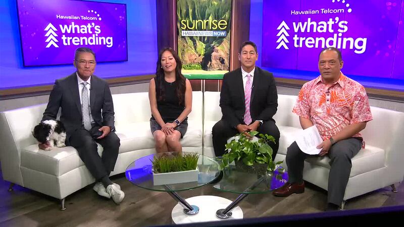 The website "finance buzz" is offering 1,000 dollars to a snack food taste-tester ahead of the...