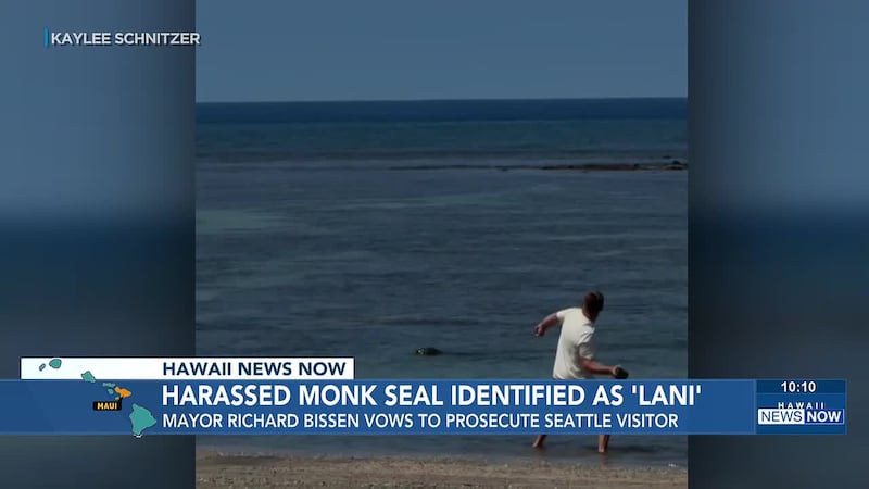 In a video posted to social media, Maui Mayor Richard Bissen identified the seal as Lani, a...