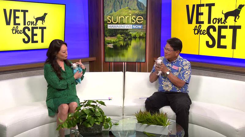 Dr. Richard Fujie is back and he shares what you need to know about taking care of newborn...