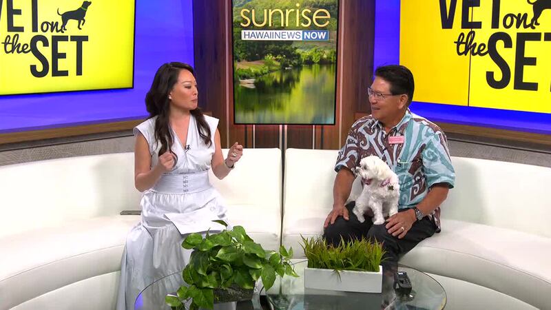 Summer officially begins on Thursday, but it's already getting hot out there. Dr. Richard...