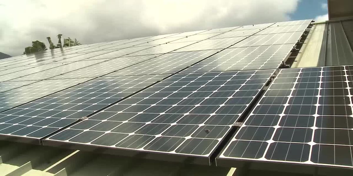 Hawaii solar companies fear president's renewable energy tax could hurt business