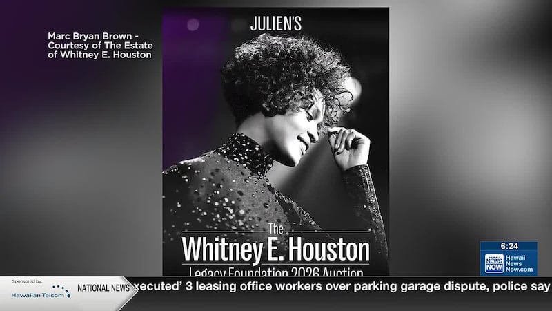 Some of Whitney Houston's most eye-catching fashions are up for auction next month in LA.