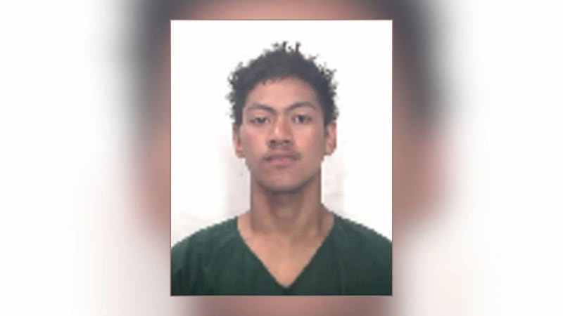 The Honolulu Police Department received a report around 9:45 a.m. that Joseph Tauilemua, 20,...
