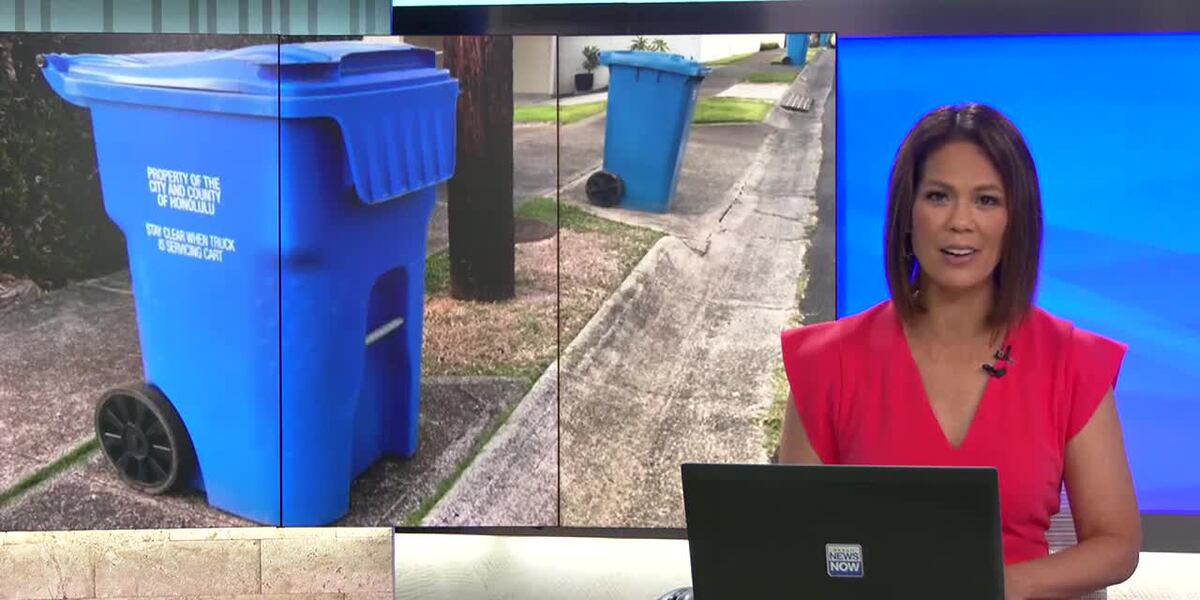 It was disgusting': Growing piles of trash after pickup delays