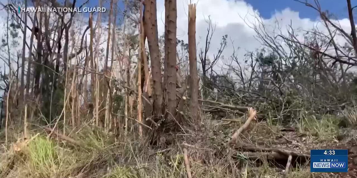 Coverage image for: Hawaii National Guard assists with Kauai County emergency response after Hurricane Lowell