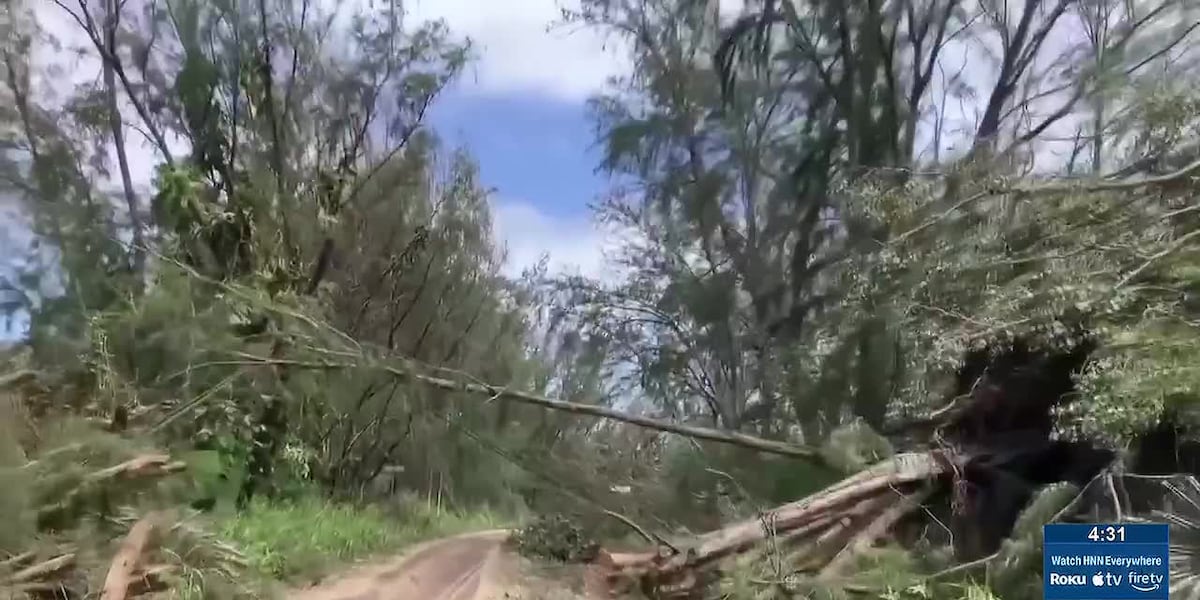 Coverage image for: Hawaii offers tax relief for residents, businesses impacted by Hurricane Lowell