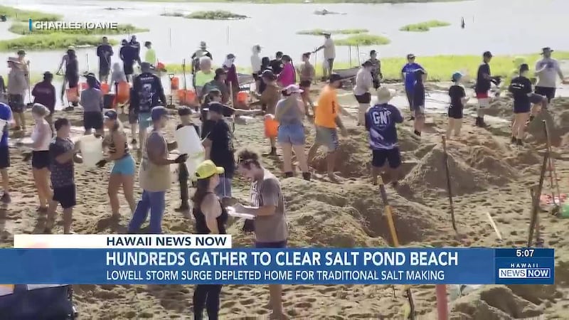 Hundreds of volunteers helped clear storm-pushed sand from Salt Pond Beach Park and its salt...