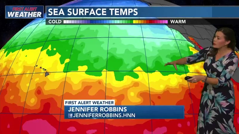 Gusty trades building in and building surf