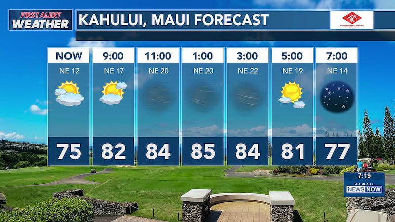 Trade winds push strong during the day with lots of sunshine and some clouds near the mauka...