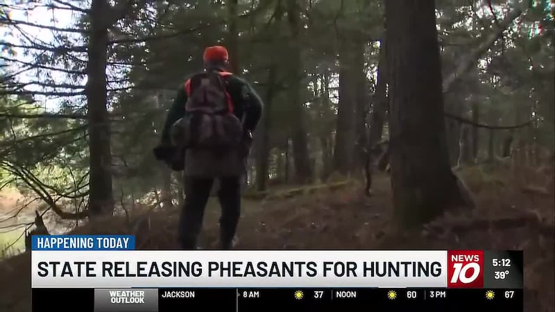 The release program aims to give hunters opportunities to experience the sport and the...