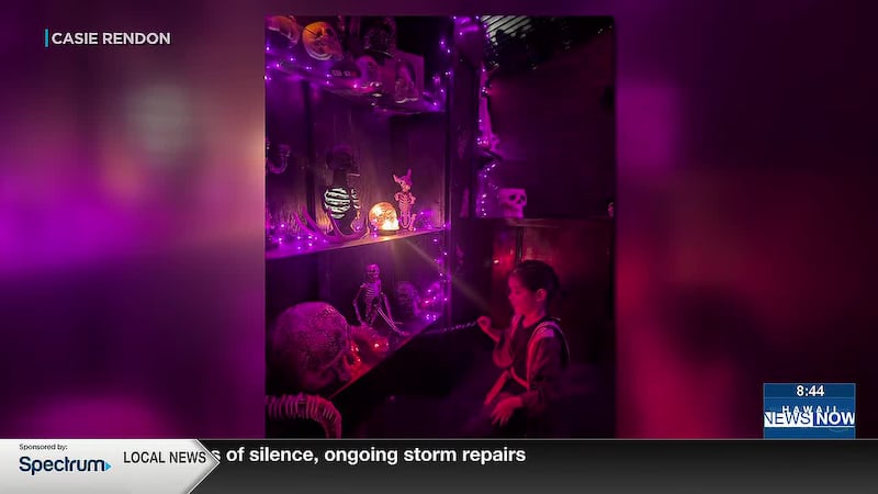 A local family spends months to create this magical world with painstaking detail.