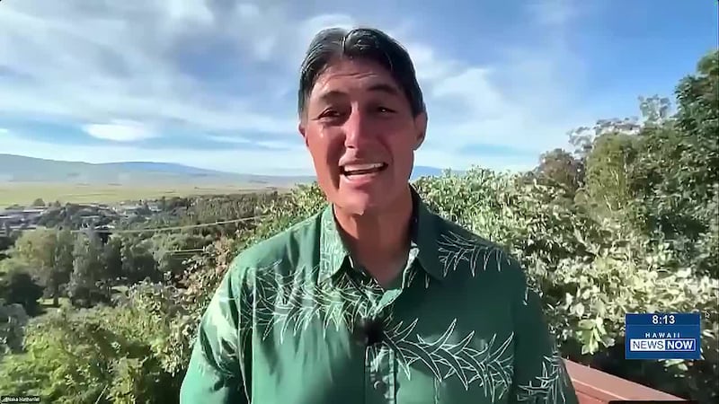 Hawaii businesses face six-to-eight-week DCCA delays amid Salesforce backlog after CNBC ranked...
