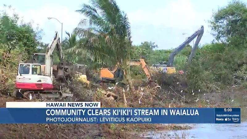 Volunteers joined a community-led effort to clear over a mile of mangroves along Ki‘iki‘i...