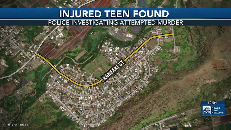 According to HPD, at around 6:20 p.m., a 16-year-old boy was found with a wound to his neck...