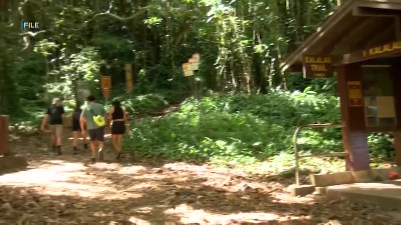 A man from Utah had to be air lifted out of the Kalalau trail after falling and hitting his head.