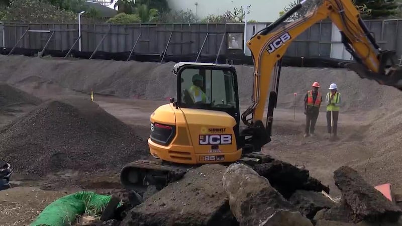 The remains, ranging from a sliver of bone to a full skeleton, represent one of the largest...