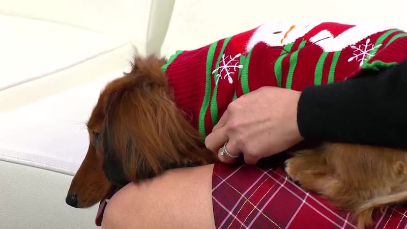 It's not just us, or our wallets, that need to be prepped for the holidays. Don't forget your...