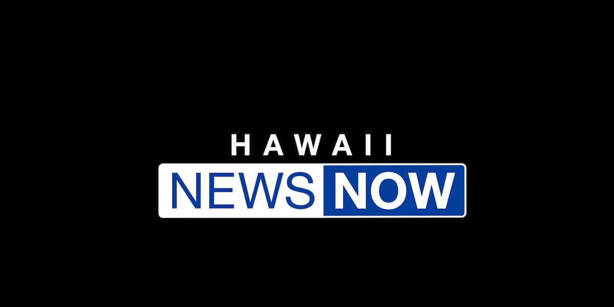 Programming Schedule programming-schedule